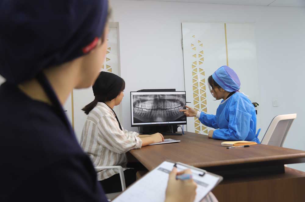 Dentists reviewing dental radiography during ADC exam preparation for dentists migration to Australia